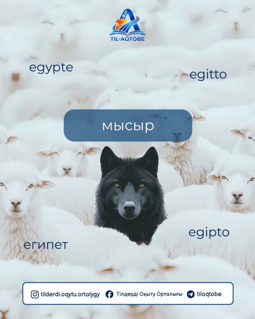📌 Әлем «internet» дейді, біз «ғаламтор» дейміз. 📌 Әлем «Egypt» дейді, біз «Мысыр» дейміз. 📌 Әлем «crocodile» дейді, біз «қолтырауын» дейміз. 📌 Әлем «pistol» дейді, біз «тапанша» дейміз.